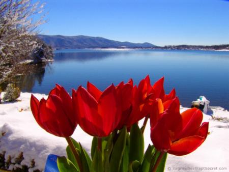 la nature